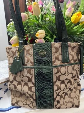 Coach Brown Signature Tote with Dark Green Python F25706